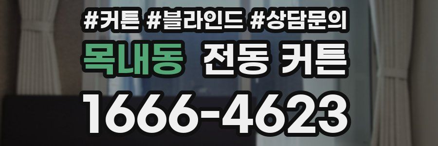 목내동 전동 커튼