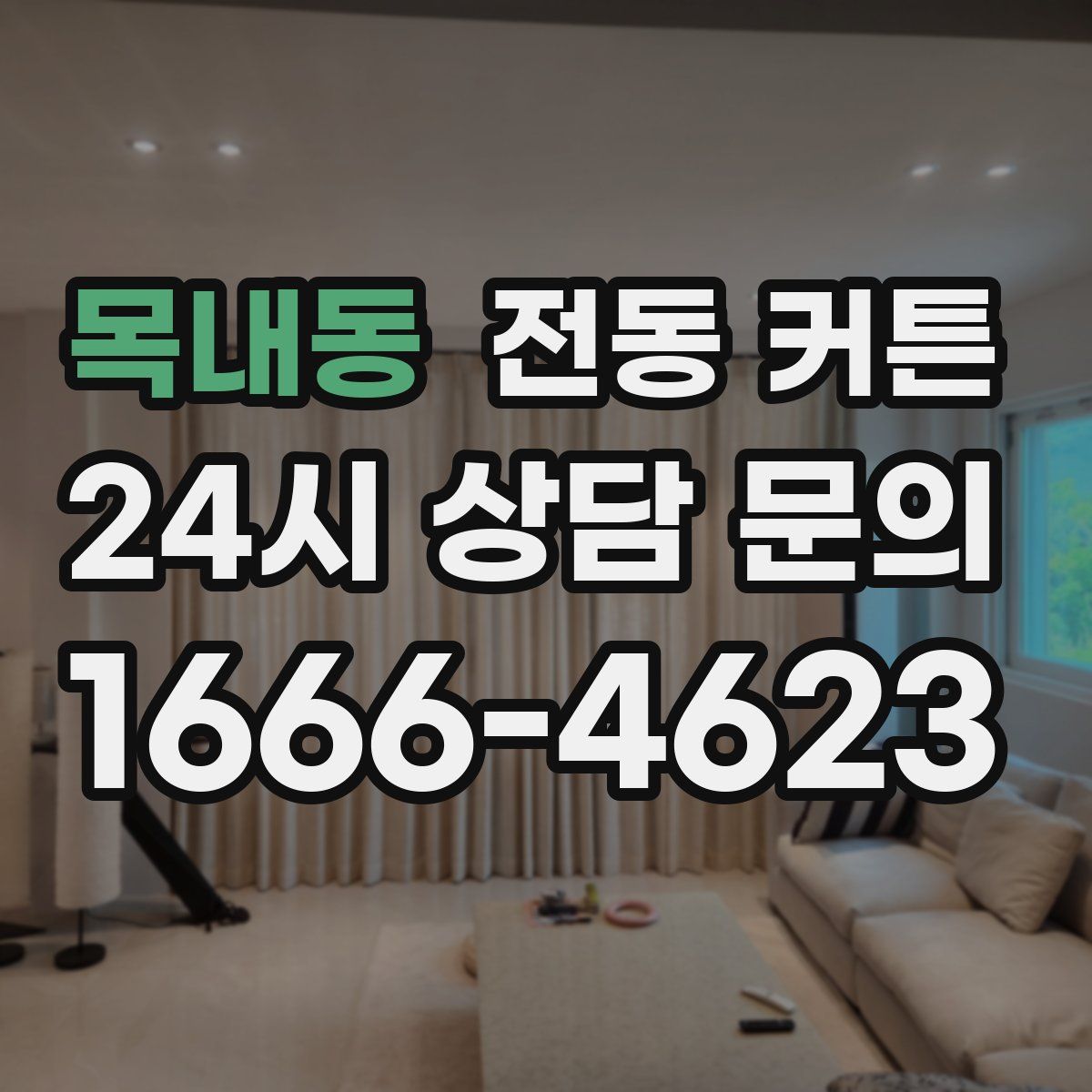 목내동 전동 커튼