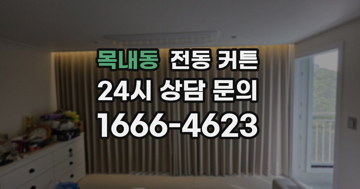 목내동 전동 커튼