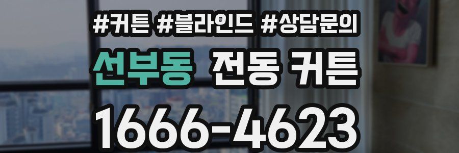 선부동 전동 커튼