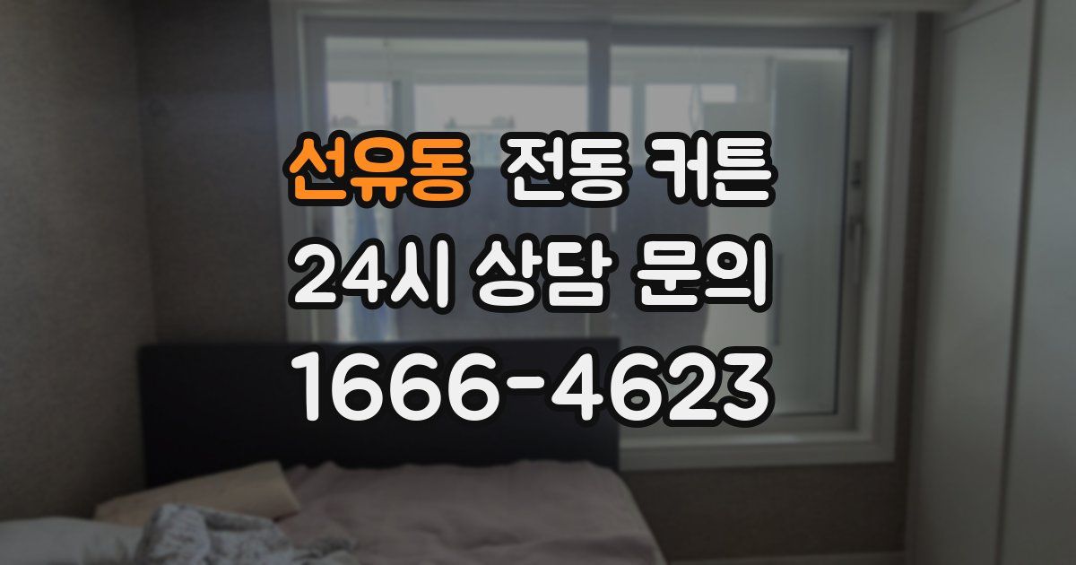 선유동 전동 커튼