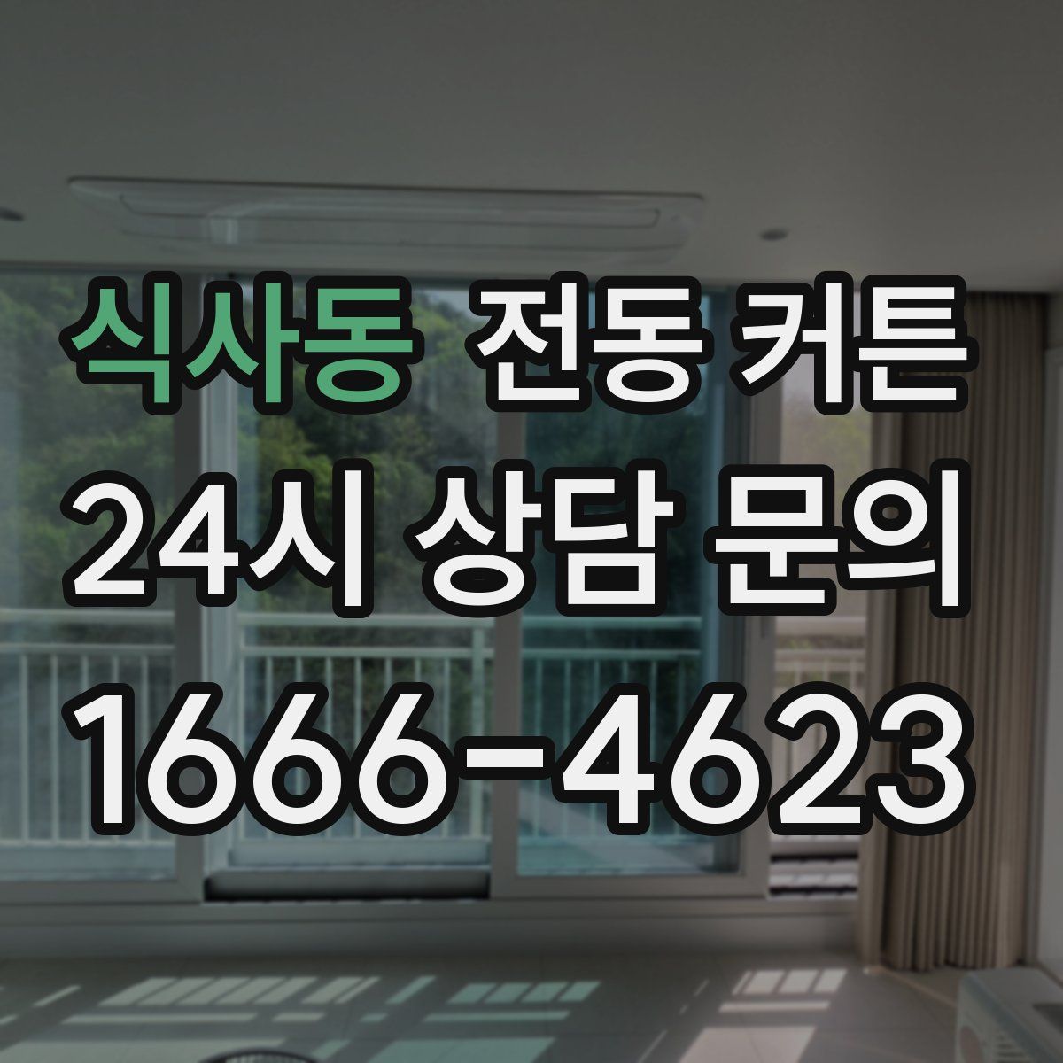 식사동 전동 커튼