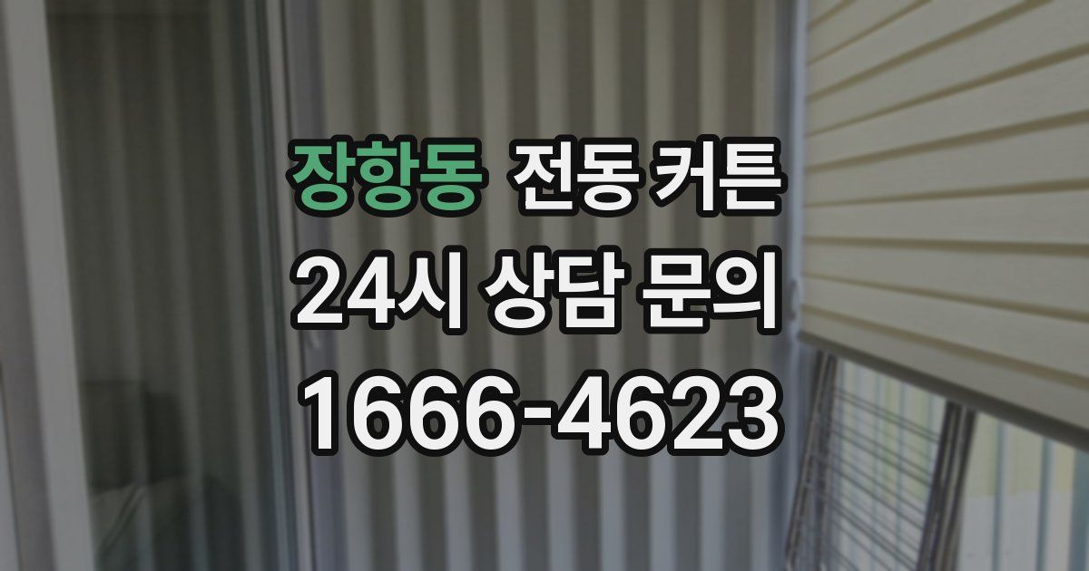 장항동 전동 커튼