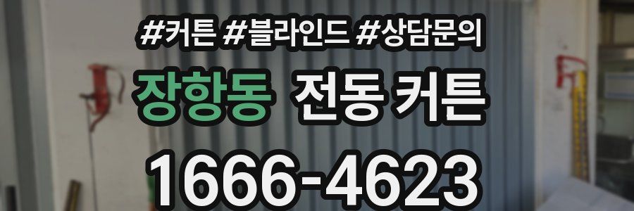 장항동 전동 커튼