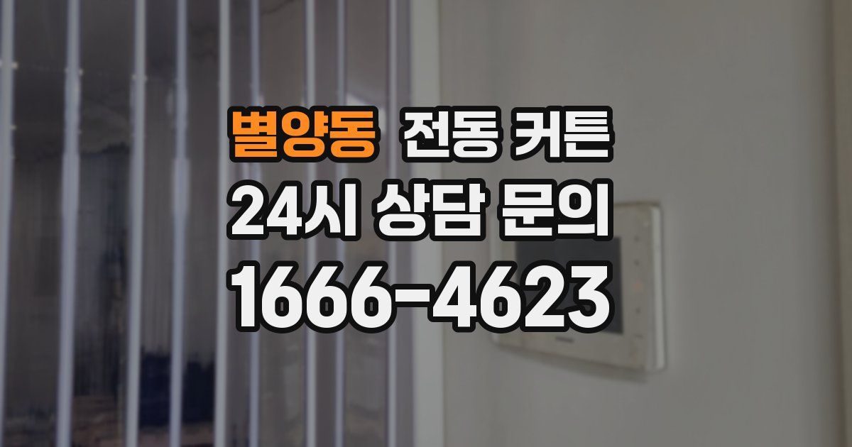 별양동 전동 커튼