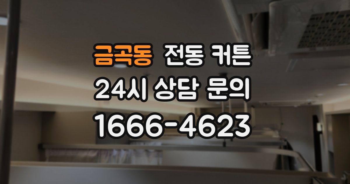 금곡동 전동 커튼