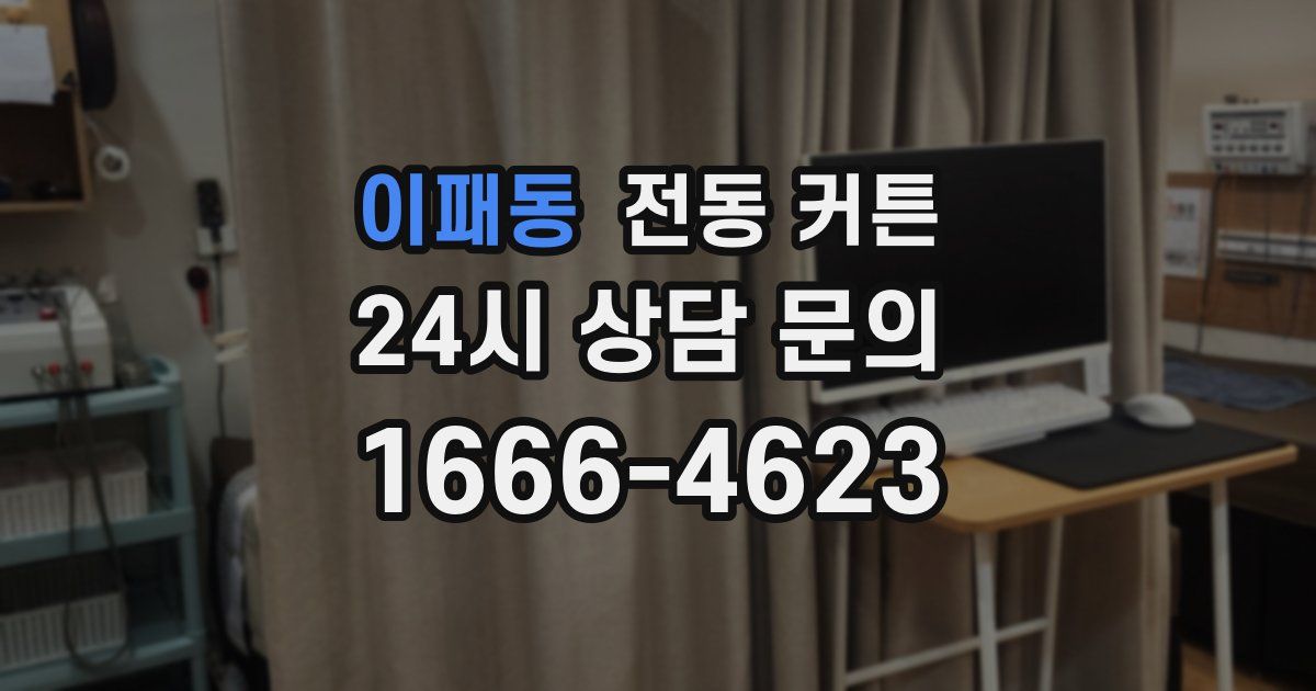 이패동 전동 커튼
