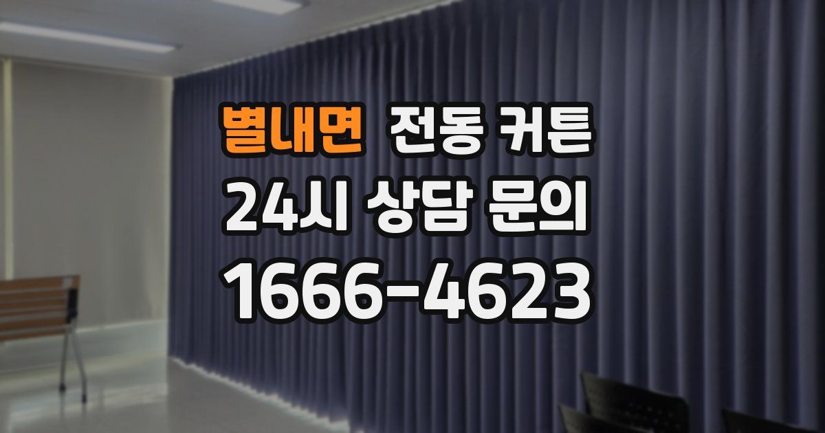 별내면 전동 커튼