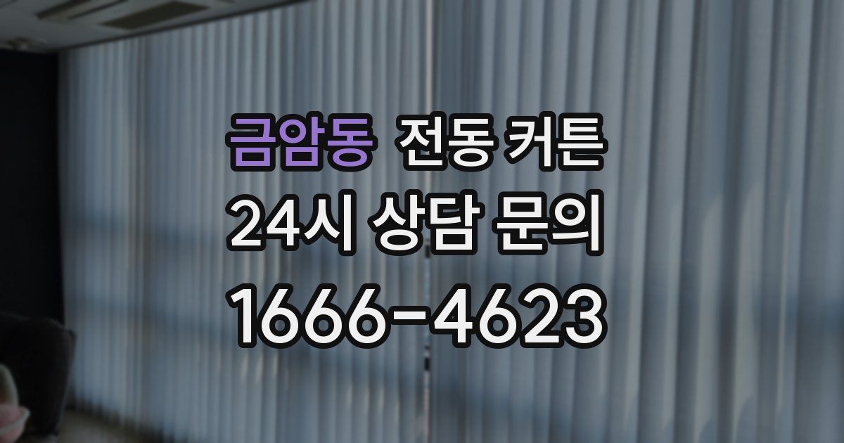 금암동 전동 커튼