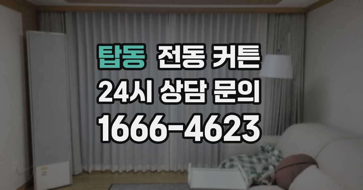 탑동 전동 커튼