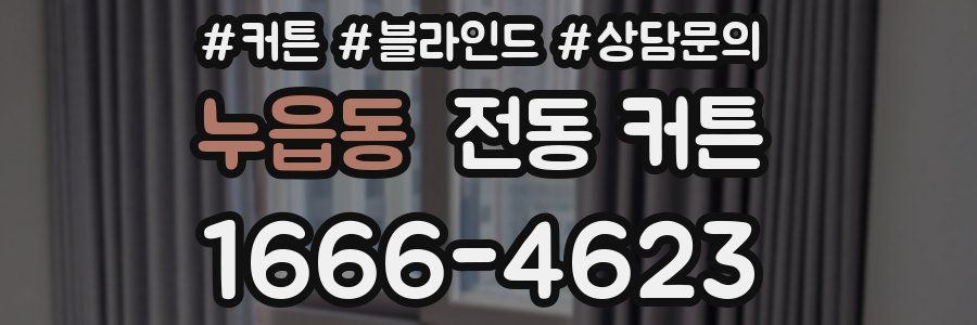 누읍동 전동 커튼
