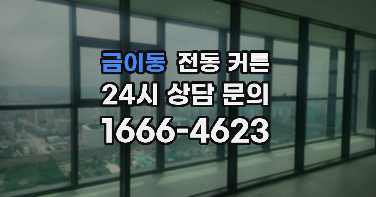 금이동 전동 커튼