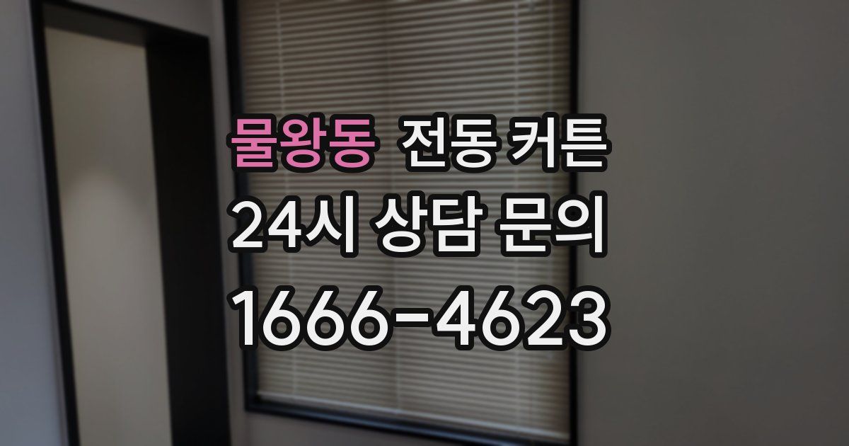 물왕동 전동 커튼
