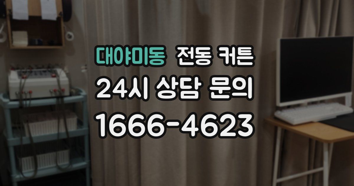 대야미동 전동 커튼