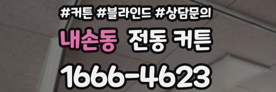 내손동 전동 커튼