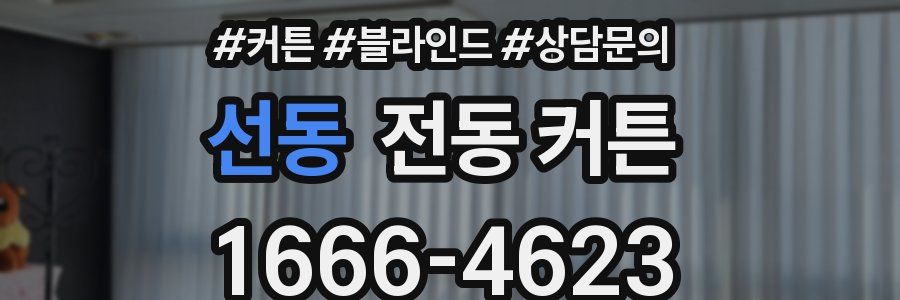 선동 전동 커튼