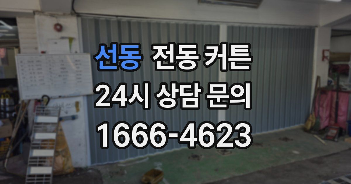 선동 전동 커튼