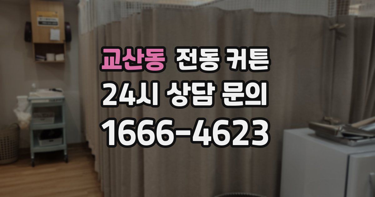 교산동 전동 커튼
