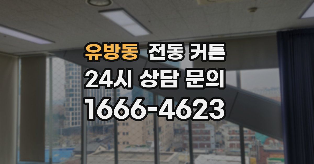 유방동 전동 커튼