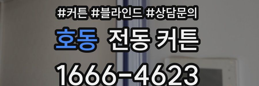 호동 전동 커튼
