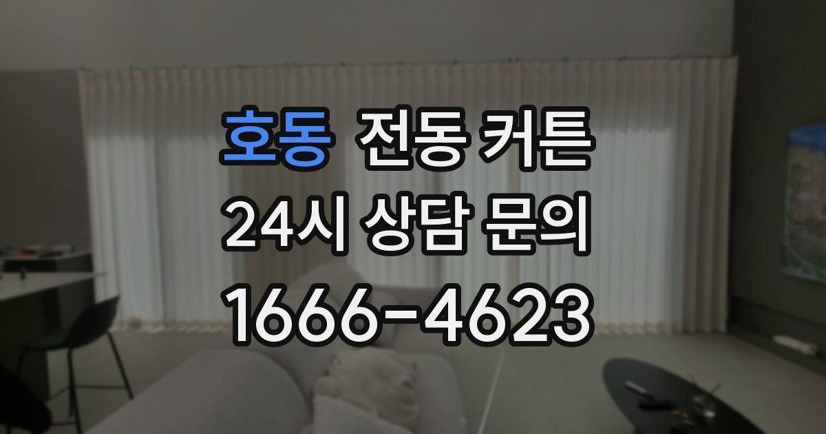 호동 전동 커튼