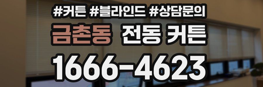 금촌동 전동 커튼