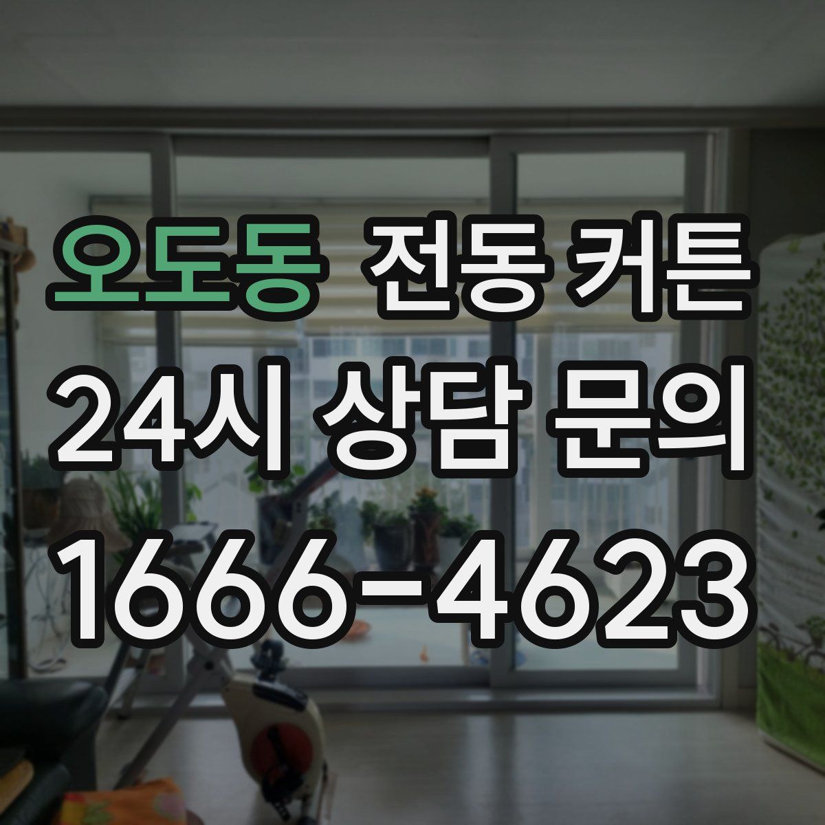 오도동 전동 커튼