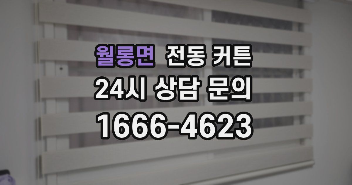 월롱면 전동 커튼