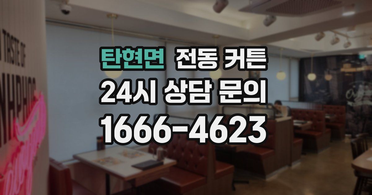 탄현면 전동 커튼
