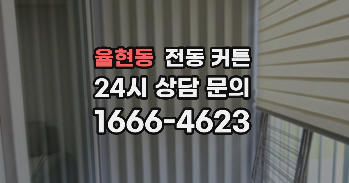 율현동 전동 커튼
