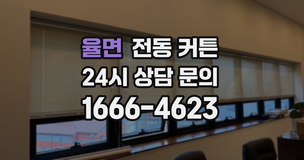 율면 전동 커튼