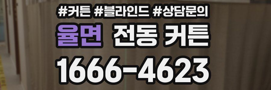 율면 전동 커튼