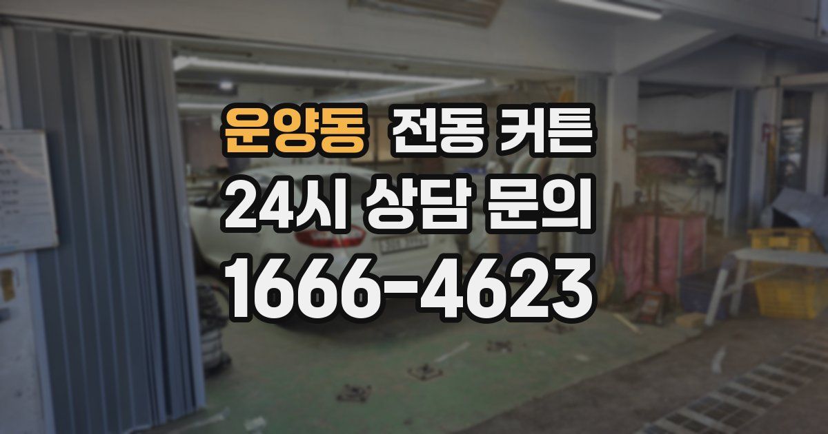운양동 전동 커튼