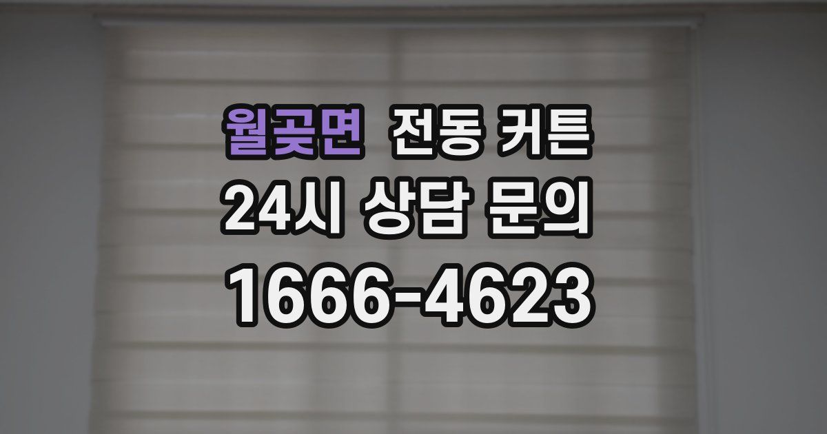 월곶면 전동 커튼