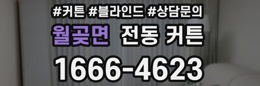 월곶면 전동 커튼
