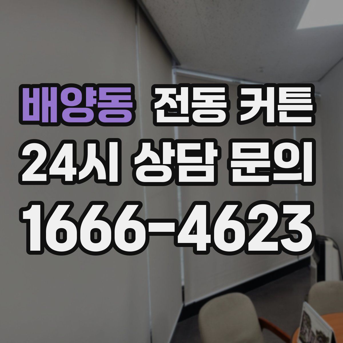 배양동 전동 커튼