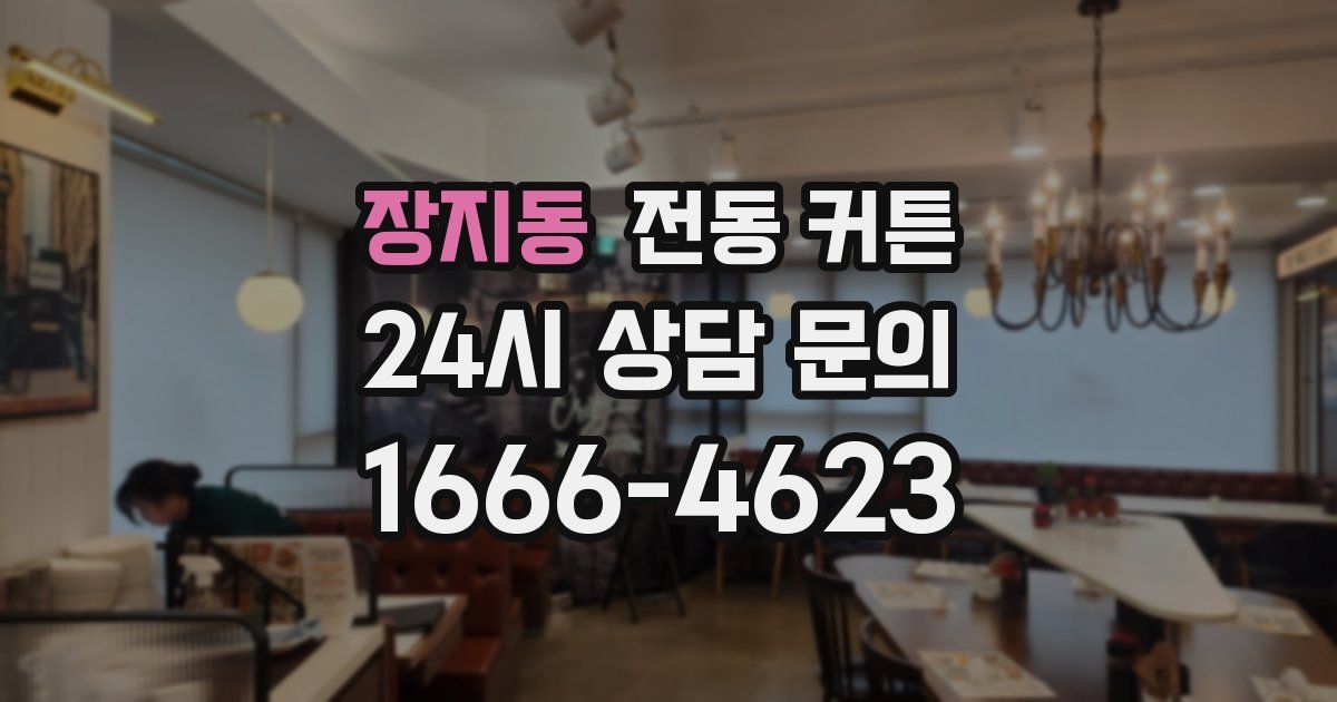 장지동 전동 커튼