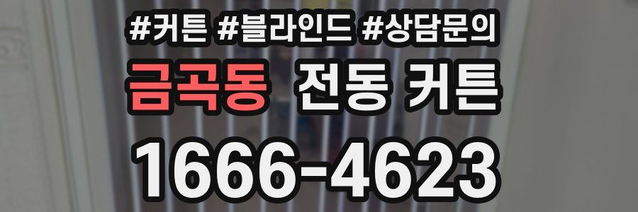 금곡동 전동 커튼