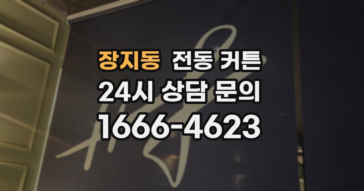 장지동 전동 커튼