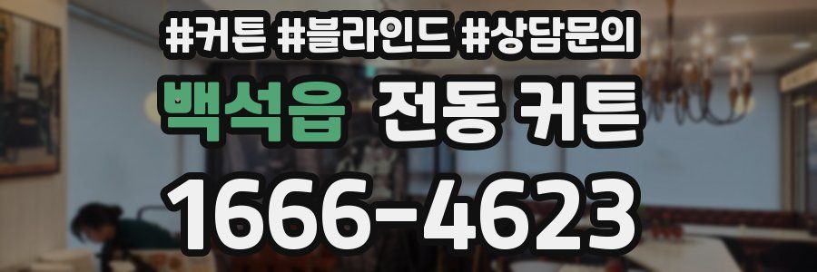 백석읍 전동 커튼