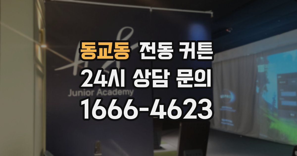 동교동 전동 커튼