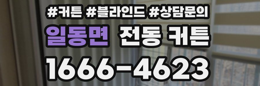 일동면 전동 커튼
