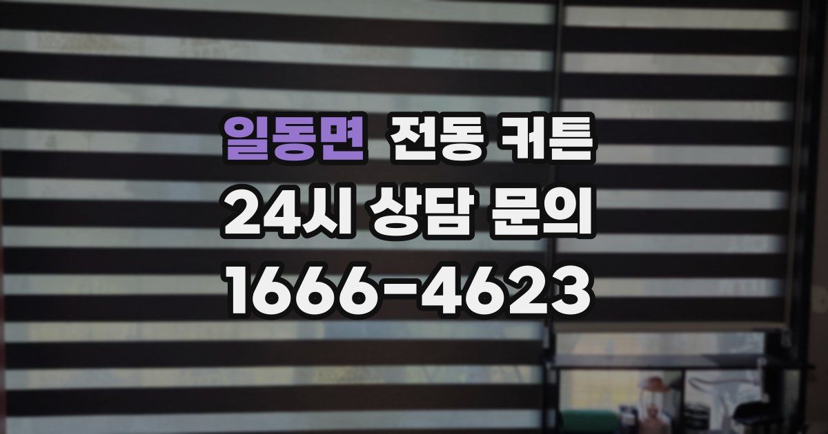 일동면 전동 커튼