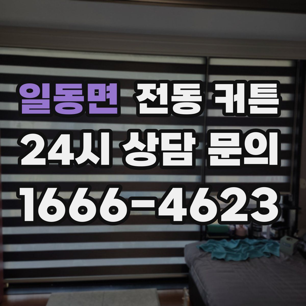 일동면 전동 커튼