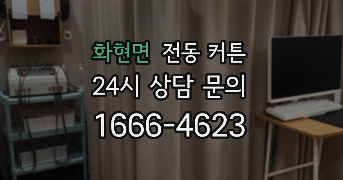 화현면 전동 커튼