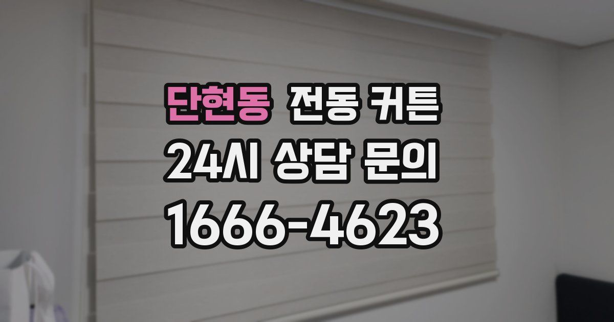 단현동 전동 커튼