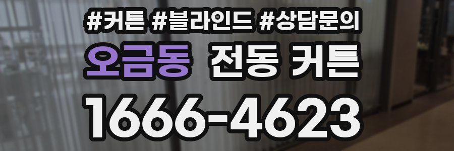 오금동 전동 커튼