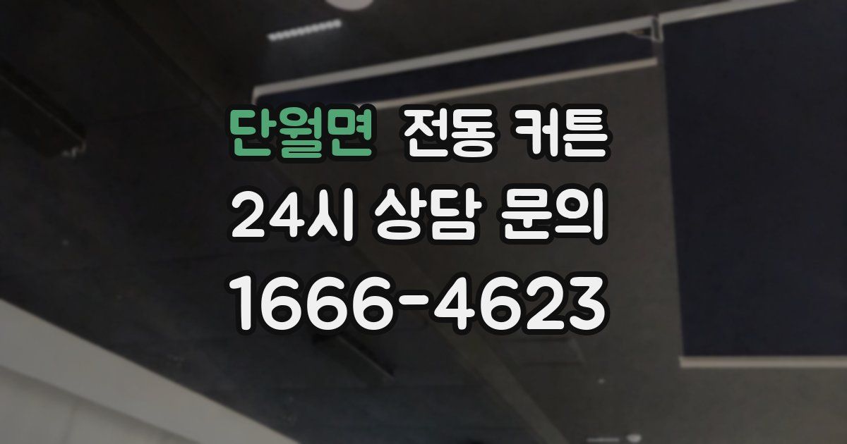 단월면 전동 커튼