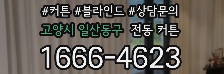 고양시 일산동구 전동 커튼