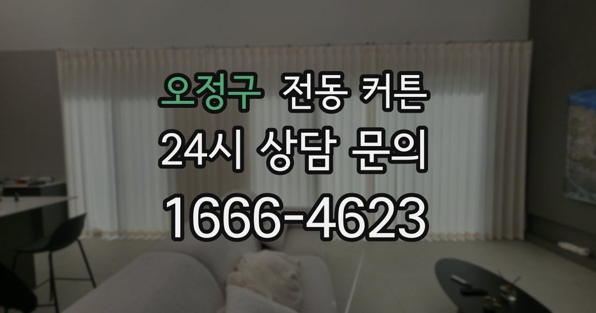 오정구 전동 커튼
